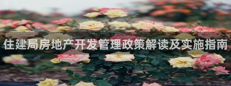 永利皇府黄立青简历