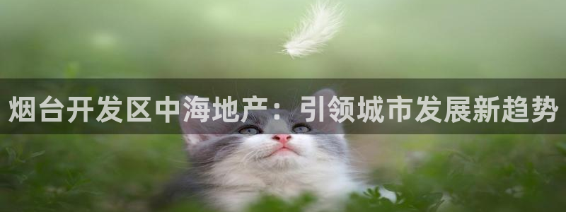 永利中国葡萄酒大赛 银奖获奖名单