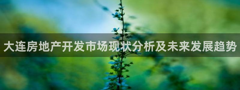 浙江永利集团