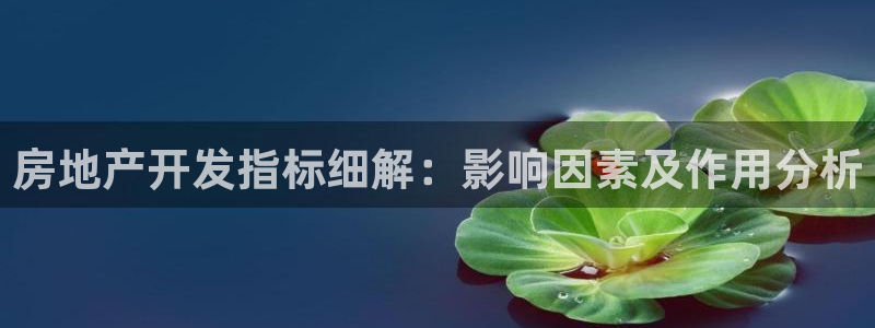 永利集团董事长