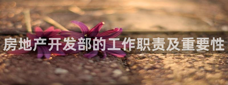 3044am永利集团公司背景