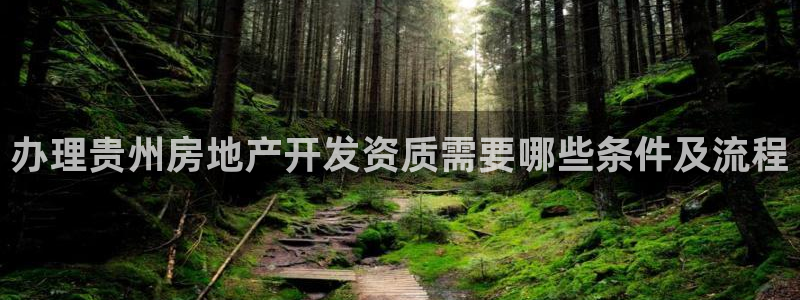 永利中国的老板是谁
