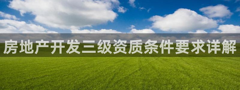 永利地产工程有限公司
