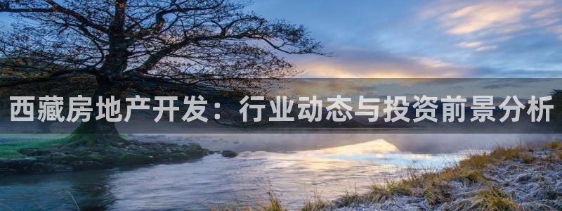 永利地产工程有限公司