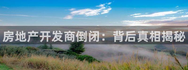 永利汇茶具有限公司