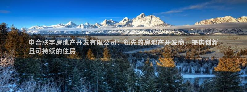 永利置业有限公司
