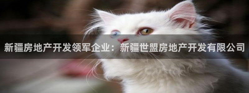 永利网输了几十万