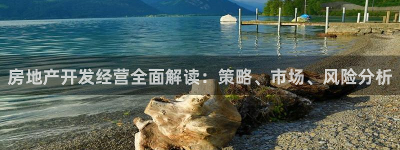 永利官网查询系统