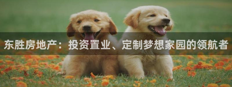 永利网是受国家法律保护吗