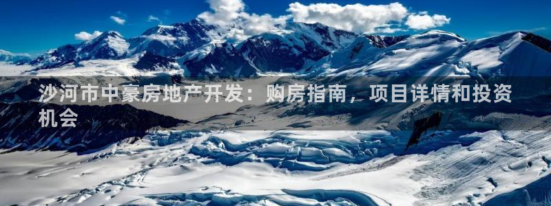 山东永利新材料