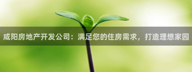 永利皮带官网旗舰店地址