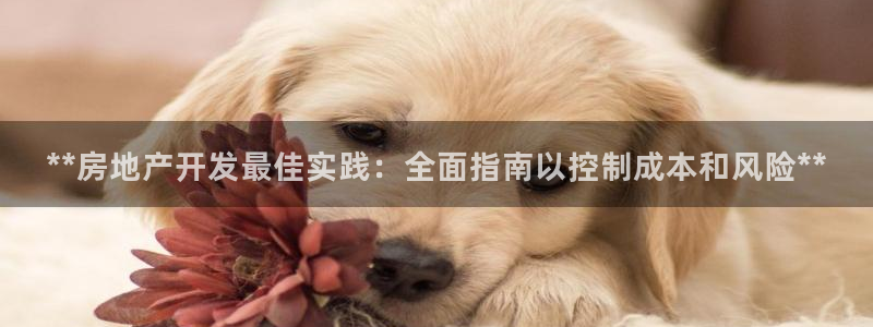 永利保险公司介绍
