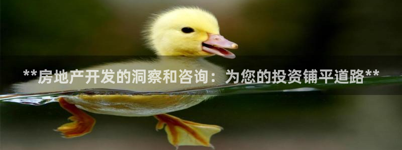 永利集团304am官方入口
