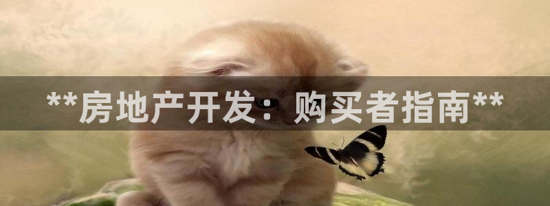 永利官网总站入口在哪