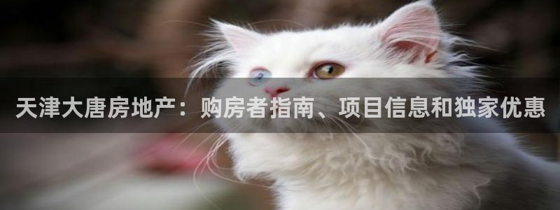鄂尔多斯永利煤矿老板