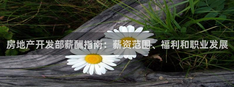 永利带业高管人员