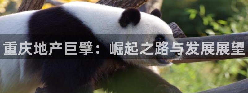 永利官网y