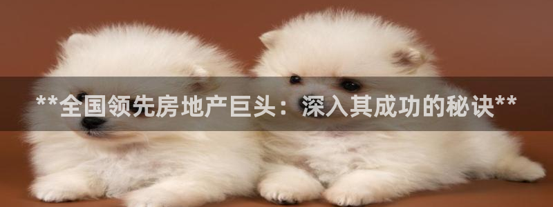 永利贵宾厅出不了款怎么办