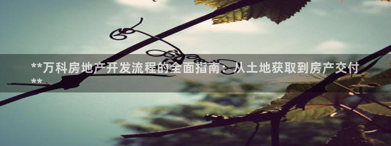 永利汇养生会所
