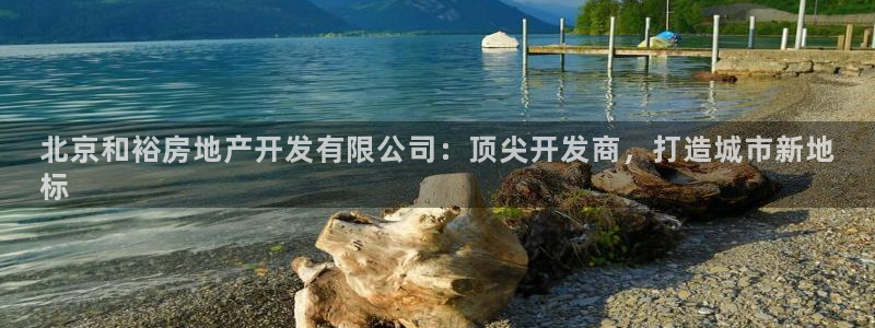永利有限责任公司