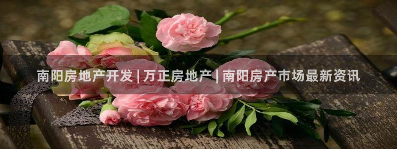 永利中国葡萄酒大赛 银奖获奖名单