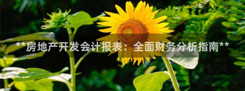 永利汽车零部件有限公司