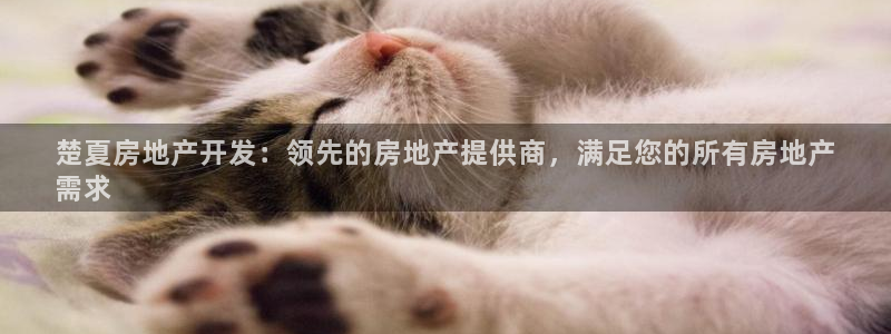 永利睹钱