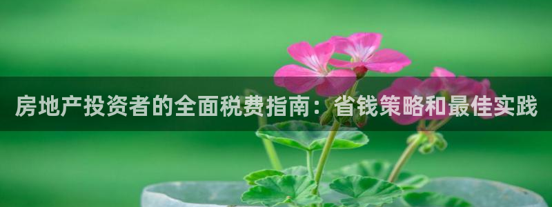 金沙永利夜总会怎么样