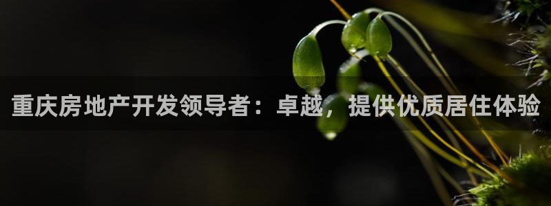 永利有限责任公司
