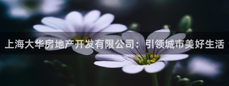 永利贵宾厅出不了款怎么办