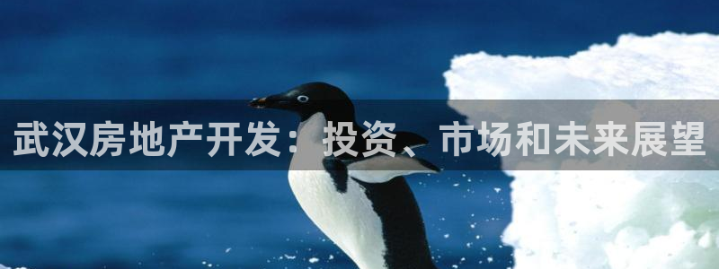 永利集团简介概况