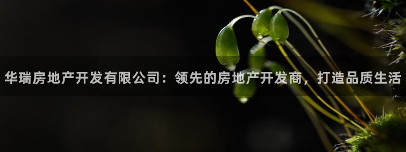 永利汇招聘