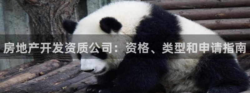 永利带业怎么样