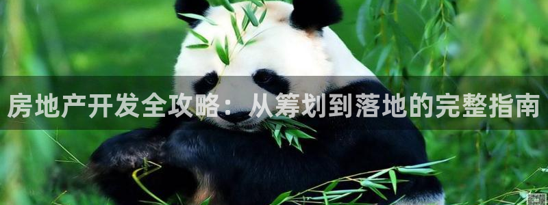 永利汇客房价格
