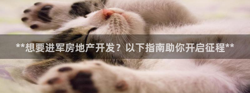 永利是做什么的