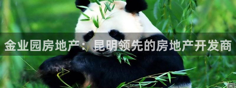 永利官网查询