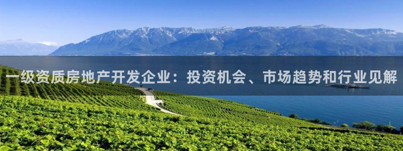 永利皇府黄立青个人资料