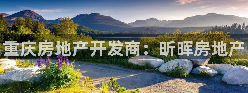 永利包装