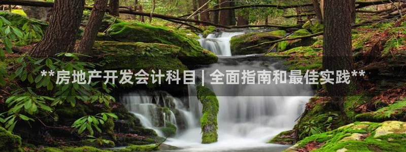 永利表行假货