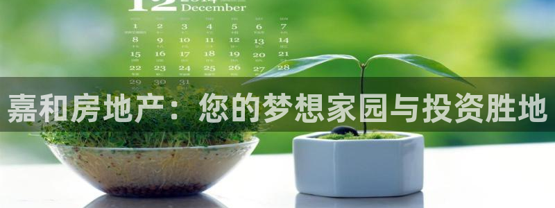 澳门永利陈志玲什么地方人