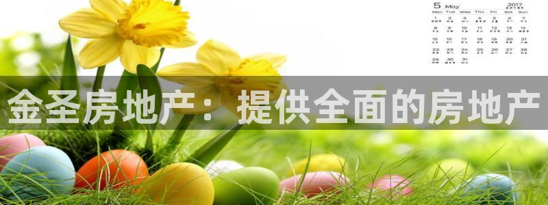 永利房地产开发有限公司总经理