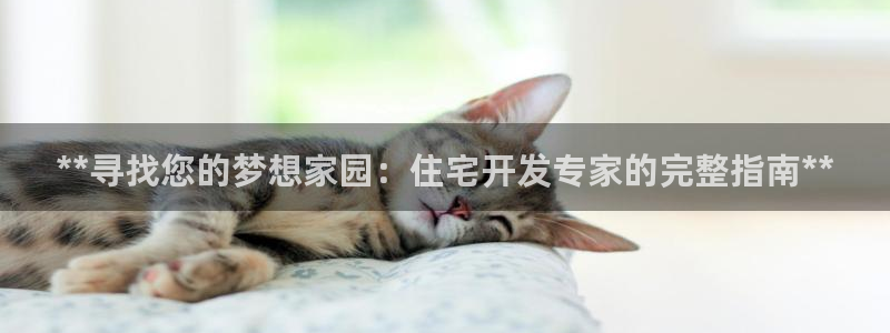 澳门永利 陈志玲