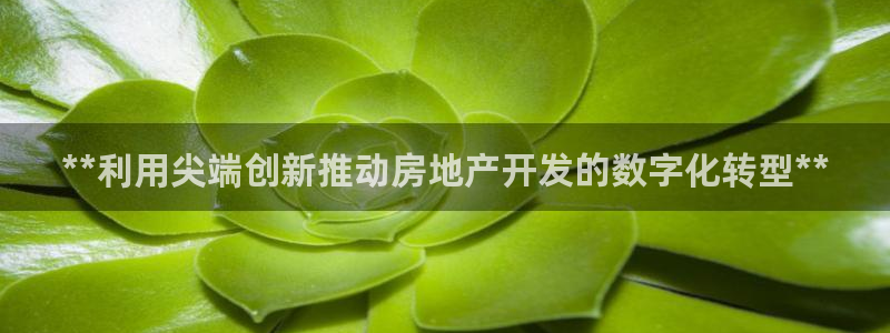 永利股份做什么