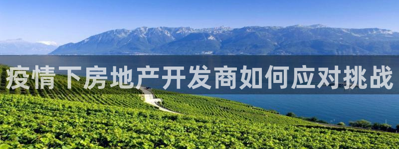永利有限公司