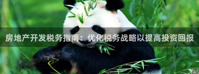 忘了永利集团的网址了