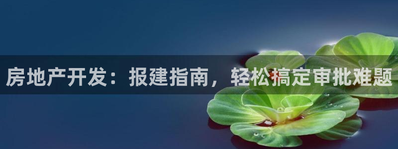 永利铔厂具体地址