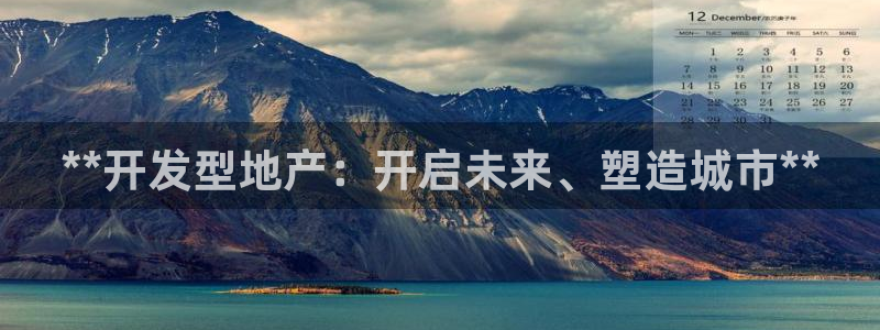 永利公司简介