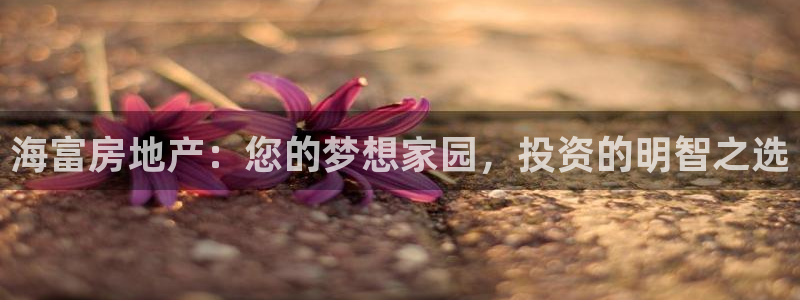 永利pc网址