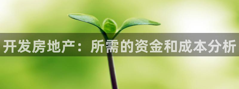 永利属于哪个集团