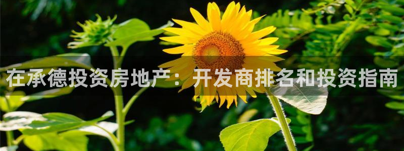 永利带业怎么样